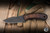 Preowned-Primitive Woodsman Custom EDC Fixed Blade Knife Wood 3.25" 80crV2 Drop Point Black Oxide