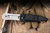 Preowned-Gerber/Blackie Collins River Master 3.25" 440C Dagger Satin