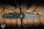 ProTech TR-3 Integrity Manual Folding Knife Reptile Textured Black Aluminum 3.5" MagnaCut Drop Point Acid Wash - Blade Show Exclusive
