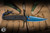 ProTech x Peace Neighbor Avalon Manual Folding Knife Solid Black Aluminum, Black Lip Pearl Button 4.25" MagnaCut Sapphire Blue PVD - Blade Show Exclusive