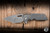 A2D Attn2Detail Mercantile Mark 1 Large Folding Knife Contoured M-16 Grip Stonewash Titanium 4" MagnaCut Drop Point Hissatsu Compound Grind - Blade Show Exclusive