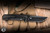 Chaves x Sam Tran Red Label Arison Street Integral Folding Knife Titanium 3.25" M390 Drop Point Black Satin PVD - Blade Show Exclusive