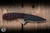 Bastinelli Knives Custom Sin Fixed Blade Knife Red Blood Tskuka Wrap 3.54" N690CO Bronze Menuki Snake Dagger Black PVD