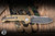 Demko Knives Custom AD20 Folding Knife Bronze Titanium 3.6" Magnacut Butcher Black Wash