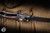 Preowned-Mick Strider MSC Custom SnG DGG Titanium 3.5" Nightmare Grind