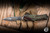 Microtech Hera II OTF Automatic Knife Outbreak Deep Engraved Aluminum 3.85" M390MK Dagger 1702-1OBDS