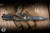 Microtech Hera II OTF Automatic Knife Outbreak Deep Engraved Aluminum 3.85" M390MK Dagger 1702-1OBDS