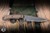 RMJ Tactical "Sparrow" Fiixed Blade Knife Hyena Brown G10 3.5" MagnaCut Tungsten