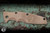 Preowned-Hinderer Micarta Horsehead Scales