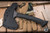 Preowned-RMJ Tactical Tracker Dan Graymatter & Bloodshark Set