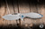 Koenig Knives Mini Arius Flipper Knife Patterned Titanium 3" M390 Drop Point Burnished Polished Flats