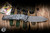 Preowned-Hawk Knives Talon Folding Knife Polar Fat Carbon 3.5" M390 Stonewash