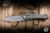 Preowned-Hawk Knives Talon Folding Knife Engraved Claw Titanium 3.5" M390 Stonewash