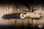 Microtech Marfione Select MSI Ram-LOK Folding Knife Frag Naval Brass, DLC Ti Accents 3.85" M390 DLC Stonewash 210-1DLCTFRMS3