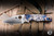 Preowned-Spyderco Custom Shaman Folding Knife Koi Titanium 3.58" M4 Drop Point Satin