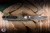 Microtech UTX-85 Gen IV OTF Automatic Knife Aluminum 3.1" M390 Drop Point Zombie Outbreak 12314-2OBDS