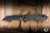 Heretic Knives Jinn Button Lock Manual Flipper Knife Marble Fat Carbon/ Glow Carbon Fiber 3" MagnaCut DLC H213-6A-MGCF