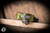 Microtech Hera II Mini OTF Automatic Knife OD Green Aluminum 3" M390 Bayonet Apocalyptic 1701M-10APOD