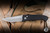ProTech x Walter Brend Classic AUTO Folding Knife Diamond Textured Black Aluminum 3.1" MagnaCut Stonewash WB1105