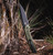ProTech x Peace Neighbor Avalon Folding Knife Knurled Battleworn Green Aluminum 4.25" MagnaCut Black PN1103-BW-GREEN