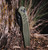 ProTech x Peace Neighbor Avalon Folding Knife Knurled Battleworn Green Aluminum 4.25" MagnaCut Black PN1103-BW-GREEN