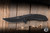 Kershaw Outright Assisted Flipper Knife Stainless/Black G10 Overlay 3" 8Cr13MoV Trailing Point Black PVD 8320BLK
