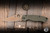 Preowned-Spyderco Paramilitary 2 Folding Knife Olive Drab G10 3.4" 204P Clip Point Flat Dark Earth