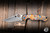 Preowned-Spyderco Paramilitary 2 Folding Knife Blue/Brown Swirls 3.4" S45VN Clip Point Satin
