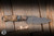 Preowned-Half Face Blades Field Jr. Textured Buckeye/Black G1O Pin Striping 3.5" Drop Point