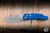 ProTech TR-4 Tactical Response 4 Automatic Folding Knife Blue Feathered Aluminum 4" MagnaMax Stonewash T4105F-MM-BLUE