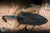 Heretic Knives Mini Nephilim Fixed Blade Knife Carbon Fiber 4" MagnaCut Serrated Stonewash H069-2C-CF