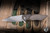 Herman Custom Knives Vespertilio 0259 Folding Knife Bronze Titanium/Fat Carbon Inlay 2.99" M390 Wharncliffe Very Shiny Stonewash