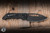 Heretic Knives Koschei Cross Bar Lock Folding Knife Black Aluminum 3.5" MagnaCut Clip Point DLC H061-6A-T