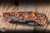 Microtech MSI Ram-LOK Folding Knife Pumpkin Tri Grip Polymer 3.88" M390 Black 210T-1PMTOT