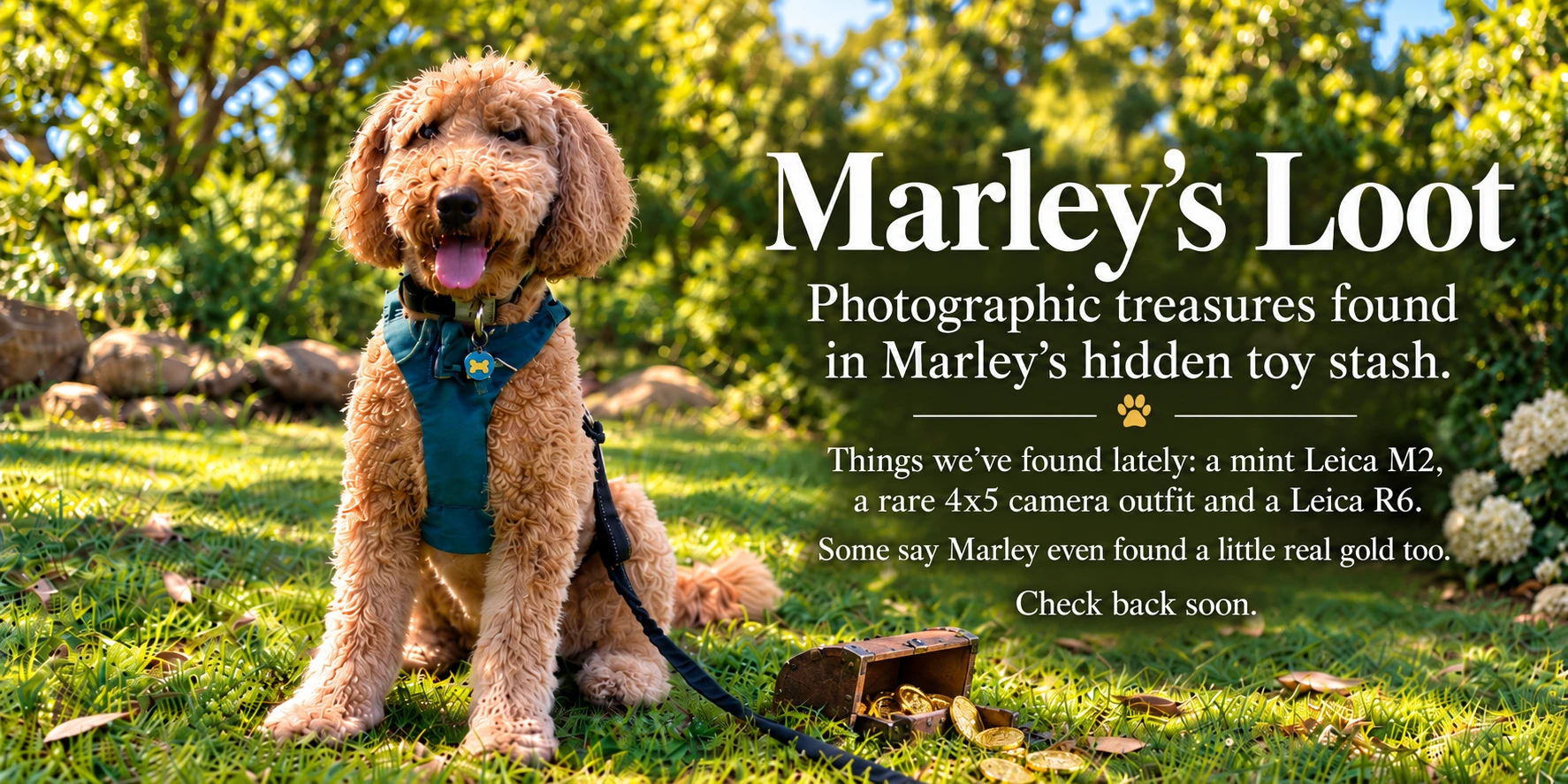 Marley's Loot