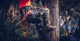 5 Everyday Annoyances Arborists Face (and the Gear That Fixes Them)