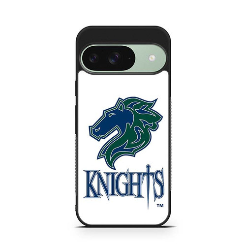 Charlotte Knights 02 Google Pixel 9 Case