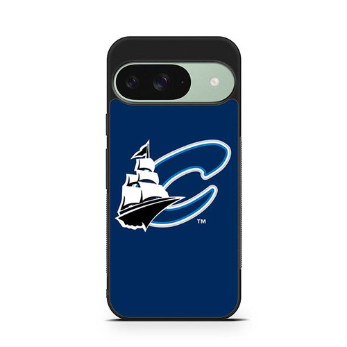 Columbus Clippers 02 Google Pixel 9 Case