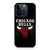 Chicago Bulls Logo 02 iPhone 15 Pro Case