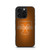 Tennessee Volunteers 02 iPhone 16 Pro Case