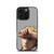 Vinland Saga Thorfinn Son of Thors iPhone 16 Pro Case
