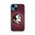Florida State Seminoles 03 iPhone 13 Mini Case