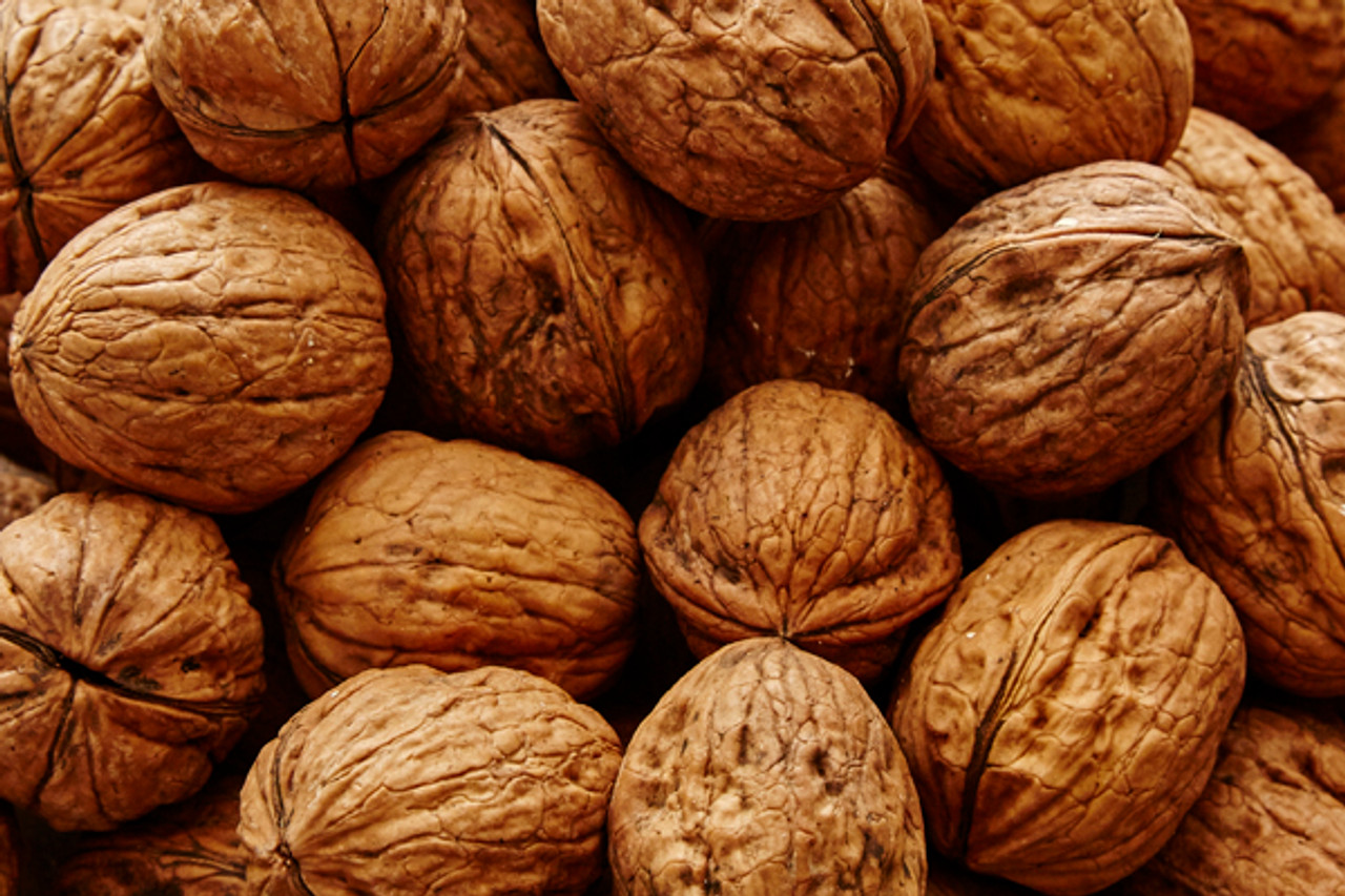 Walnuts Natural 50 Lb Continente Country Store 