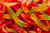 Gummy Worms