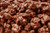 Sugar Free Chocolate Covered Walnuts (Milk or Dark)