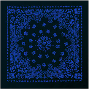 Rothco Trainmen Paisley Bandana Rothco Trainmen Paisley Bandana