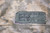 MOLLE Waist Pack (ACU Digital)