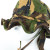 Dutch DPM Boonie Hat, Dutch Military Surplus