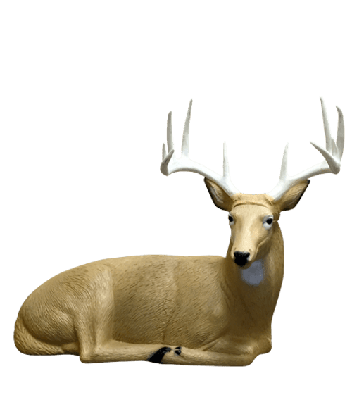 Bedded Buck Target IBO