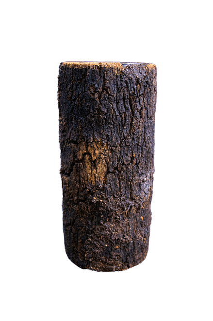Bark Vase from River's Edge